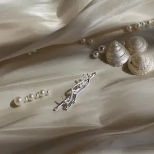 بينة لشعر